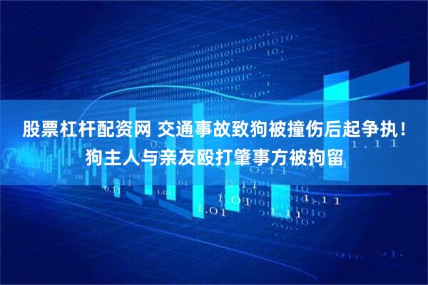 股票杠杆配资网 交通事故致狗被撞伤后起争执！狗主人与亲友殴打肇事方被拘留