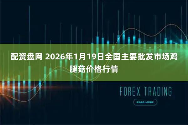 配资盘网 2026年1月19日全国主要批发市场鸡腿菇价格行情